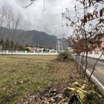 فروش زمین شهرکی در نوشهر (سیسنگان)