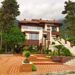 ویلا ساحلی جنگلی اکازیون