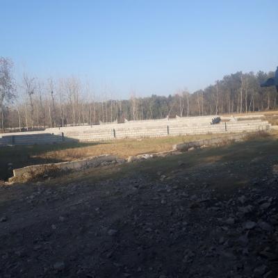 فروش زمین حاشیه جنگلی جاده دریا