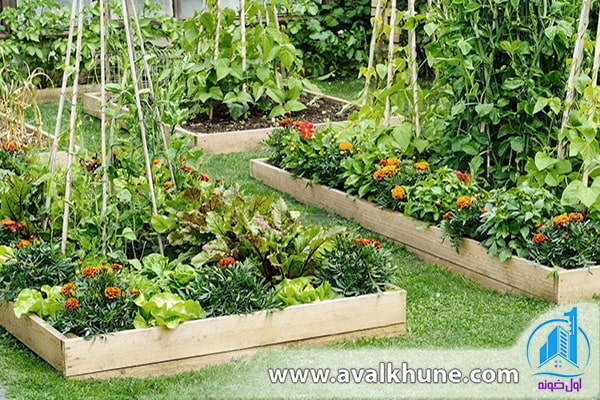 نکات مهم برای کاشت سبزی در باغچه خانه