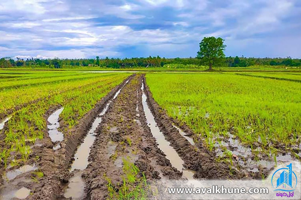 عمق خاک را هنگام خرید زمین کشاورزی بررسی کنید