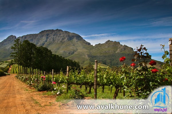 زیباترین زمین‌های جهان در آفریقای جنوبی