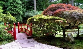 محوطه سازی به سبک باغ های ژاپنی