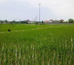 خرید زمین کشاورزی در مازندارن